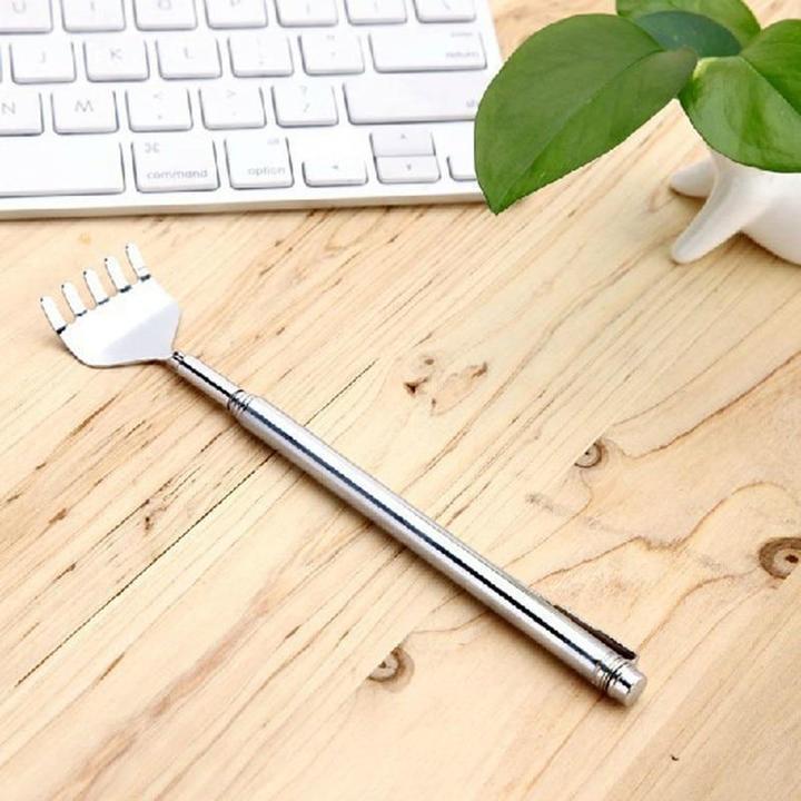 Telescopic Back Scratcher - Portable and Adjustable in Stainless Steel